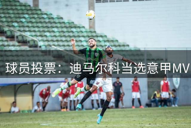 球员投票：迪马尔科当选意甲MVP，小法当选最佳主帅
